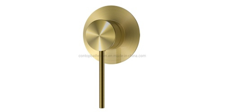 العلامة المائية-فرشاة-ذهب-دش-Mixer.jpg